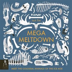 Mega Meltdown цена и информация | Книги для подростков  | 220.lv