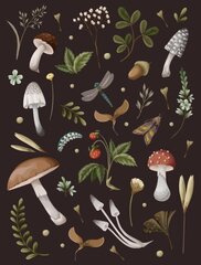 Mushroom Lined Journal cena un informācija | Svešvalodu mācību materiāli | 220.lv