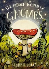 Hidden World of Gnomes цена и информация | Книги для малышей | 220.lv