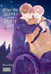 After We Gazed at the Starry Sky, Vol. 2 цена и информация | Фантастика, фэнтези | 220.lv