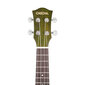 Soprāna ukulele Cascha Mahogany HH 2265 цена и информация | Ģitāras | 220.lv