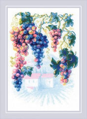 Krustdūriena komplekts Generous Grapevine 21x30 RIOL2135 cena un informācija | Izšūšanas piederumi | 220.lv