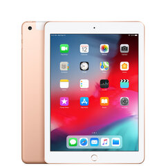 iPad 6 9.7" 32GB WiFi + Cellular cena un informācija | Planšetdatori | 220.lv