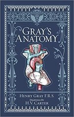 Gray's Anatomy (Barnes & Noble Collectible Classics) cena un informācija | Romāni | 220.lv