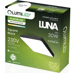 LED plafonu griestu gaisma LUNA 30W Square 30x5 cm LUMILED cena un informācija | Griestu lampas | 220.lv