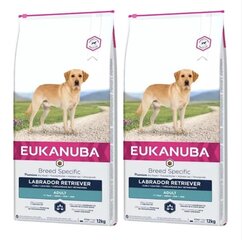 Eukanuba Adult Breeds Specific Labrador Retriever ar vistu, 24 kg cena un informācija | Sausā barība suņiem | 220.lv