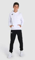 Džemperis bērniem Arena Team Hooded Sweat Panel, balts cena un informācija | Zēnu jakas, džemperi, žaketes, vestes | 220.lv