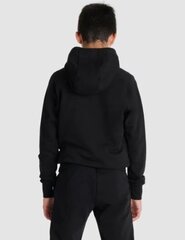 Džemperis bērniem Arena Team Hooded Sweat Panel Black, melns cena un informācija | Zēnu jakas, džemperi, žaketes, vestes | 220.lv