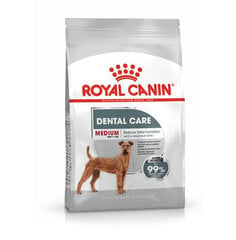 Royal Canin CCN Medium Dental Care vidēju šķirņu suņiem, 10 kg cena un informācija | Sausā barība suņiem | 220.lv