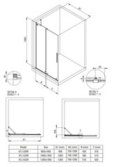 Walk-in bīdāmā dušas siena Deante Prizma, Brushed steel, 100x195 cm cena un informācija | Dušas durvis, dušas sienas | 220.lv