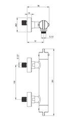 Termostatiskais dušas maisītājs Deante, Brushed steel, BCH_F4BT цена и информация | Смесители | 220.lv