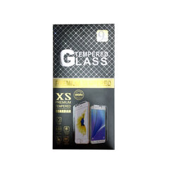 Aizsargstikls iPhone 11 Pro Max cena un informācija | Ekrāna aizsargstikli | 220.lv