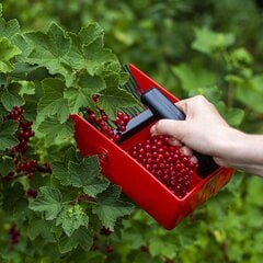 Прибор для сбора ягод Biogrod цена и информация | Набор садовых инструментов | 220.lv