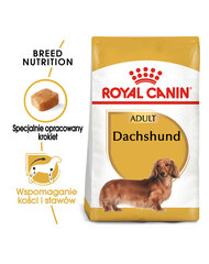 Royal Canin Dachshund pieaugušiem suņiem, 2x7.5 kg cena un informācija | Sausā barība suņiem | 220.lv