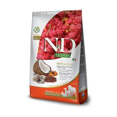 N&D Dog Quinoa Skin&Coat Herring ar siļķi, 7 kg cena un informācija | Sausā barība suņiem | 220.lv