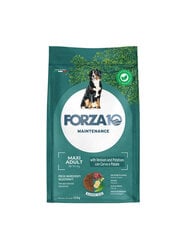 Forza10 Maxi Adult Maintenance Venison Potato lielu šķirņu suņiem, 12 kg cena un informācija | Sausā barība suņiem | 220.lv