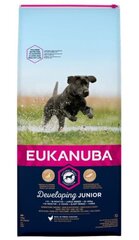 Eukanuba Developing Junior Large Breed ar mājputnu gaļu, 12 kg cena un informācija | Sausā barība suņiem | 220.lv