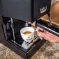 "Gaggia Classic EVO - Elegant Thunder Black Edition" цена и информация | Kafijas automāti | 220.lv