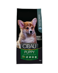 Cibau Medium Puppy ar vistu, 14 kg cena un informācija | Sausā barība suņiem | 220.lv