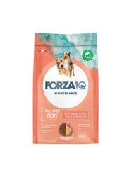 Forza10 Light All Breeds Maintenance Tuna Rice suņiem ar lieko svaru, 12 kg cena un informācija | Sausā barība suņiem | 220.lv