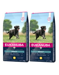 Eukanuba Active Adult Large Breed ar mājputnu gaļu, 30 kg cena un informācija | Sausā barība suņiem | 220.lv