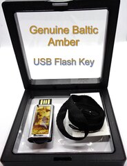 USB-накопитель емкостью 16 ГБ с янтарным покрытием цена и информация | Другие оригинальные подарки | 220.lv