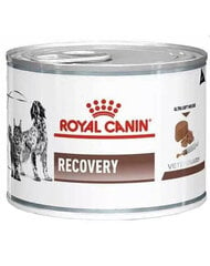 Royal Canin Vet Dog/Cat Recovery, 195g cena un informācija | Konservi suņiem | 220.lv