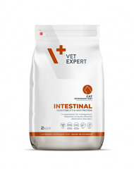 VetExpert Veterinary Diet Cat Intestinal, 2 kg cena un informācija | Sausā barība kaķiem | 220.lv