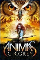 Flight of the King цена и информация | Книги для подростков  | 220.lv