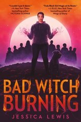 Bad Witch Burning цена и информация | Книги для подростков и молодежи | 220.lv