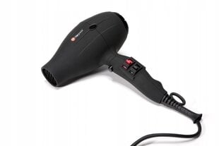 UG106E PROFESSIONAL IONIC HAIR DRYER UPGRADE alpha compact cena un informācija | Matu fēni | 220.lv