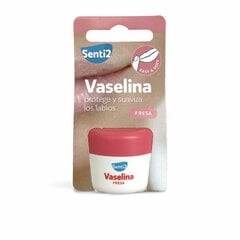 Vazelīns Senti2 Zemenes (20 ml) cena un informācija | Lūpu krāsas, balzāmi, spīdumi, vazelīns | 220.lv