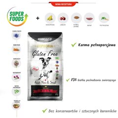 Biofeed Euphoria Gluten Free Adult Mini&Small ar liellopa gaļu, 12 kg cena un informācija | Sausā barība suņiem | 220.lv