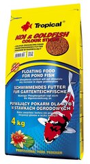 Barība dīķa zivīm Tropical Koi & Goldfish Color Sticks, 4 kg cena un informācija | Zivju barība | 220.lv