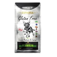 Biofeed Euphoria Gluten Free Junior Medium&Large ar jēra gaļu, 12 kg цена и информация | Сухой корм для собак | 220.lv