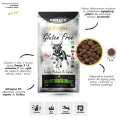 Biofeed Euphoria Gluten Free Junior Medium&Large ar jēra gaļu, 12 kg цена и информация | Сухой корм для собак | 220.lv