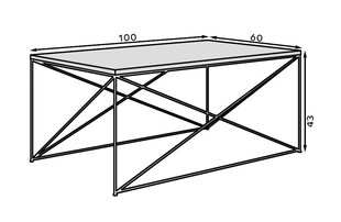 Кофейный столик ADRK Furniture Dante, белый/черный цена и информация | Журнальные столики | 220.lv