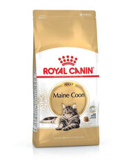 Royal Canin Maine Coon Adult, 2 kg cena un informācija | Sausā barība kaķiem | 220.lv