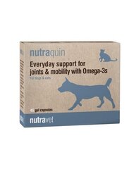 Nutravet piedeva suņiem un kaķiem, kapsulās Nutraquin, 45 gab. cena un informācija | Vitamīni, uztura bagātinātāji, pretparazītu līdzekļi suņiem | 220.lv