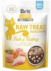 Brit Care Raw Treat Hair&Skin, zivs ar tītaru, 40g cena un informācija | Gardumi kaķiem | 220.lv