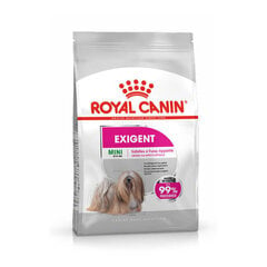 Royal Canin CCN Mini Exigent, 3 кг цена и информация | Сухой корм для собак | 220.lv