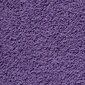 vidaXL Premium dvieļi, 10 gab, violets, 30x30 cm, 100% kokvilna цена и информация | Dvieļi | 220.lv