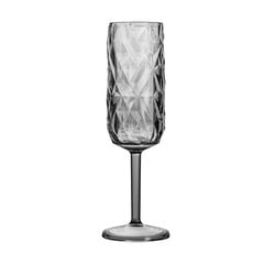 PRISMA CHAMPAGNE FLUTE Grey 180ml, 2 шт. цена и информация | Стаканы, фужеры, кувшины | 220.lv