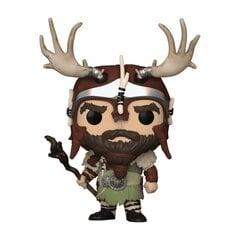 Funko POP! Diablo IV Druid 941 figūriņa cena un informācija | Datorspēļu suvenīri | 220.lv