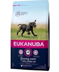 Eukanuba Growing Puppy Large Breed ar mājputnu gaļu, 12 kg cena un informācija | Sausā barība suņiem | 220.lv