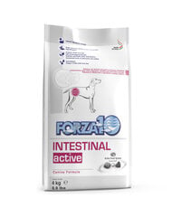 Forza 10 Intestinal Active Dieta pie gremošanas problēmām, 4 kg cena un informācija | Sausā barība suņiem | 220.lv