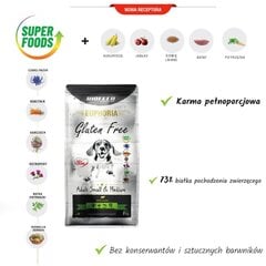 Biofeed Euphoria Gluten Free Adult Small&Medium ar jēra gaļu, 12 kg цена и информация |  Сухой корм для собак | 220.lv