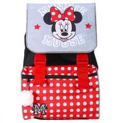 Skolas mugursoma Minnie Mouse, 42x32x22cm cena un informācija | Skolas somas | 220.lv