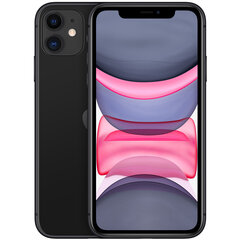 Apple iPhone 11 64GB (Klase A (Ļoti labs stāvoklis, lietots)) cena un informācija | Mobilie telefoni | 220.lv