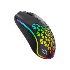 AQIRYS Gaming Mouse Dual Mode: Wirelles+Wired POLARIS black cena un informācija | Peles | 220.lv